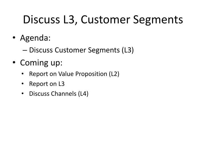 discuss l3 customer segments