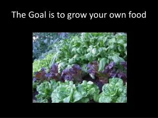 The Goal is to grow your own food