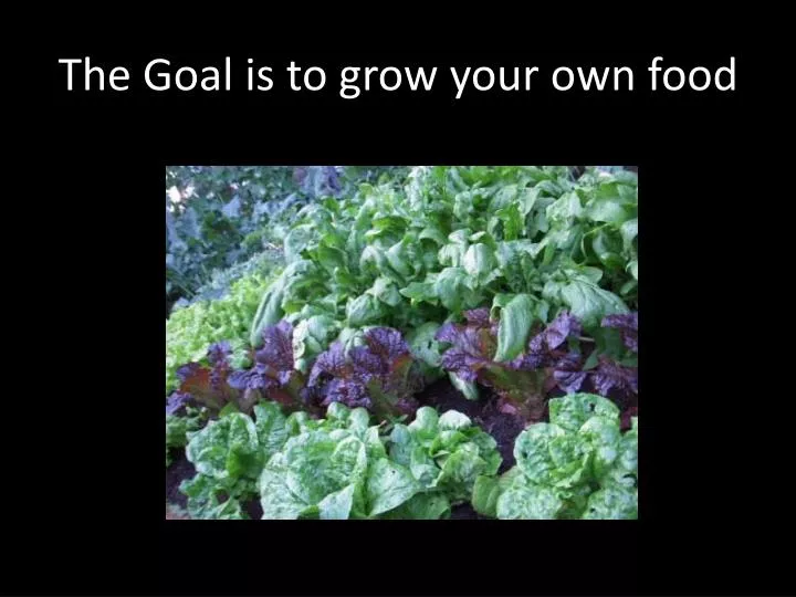 the goal is to grow your own food