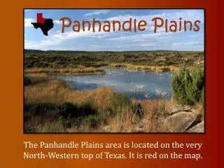 The Panhandle Plains area is located on the very North-Western top of Texas. It is red on the map.