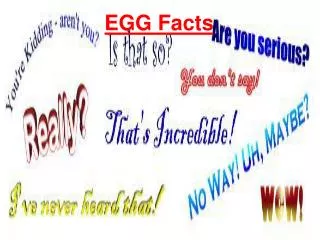 EGG Facts