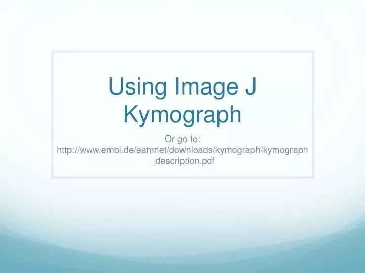 using image j kymograph