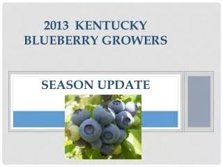 2013 Kentucky BLUEBERRY GROWERS SEASON UPDATE