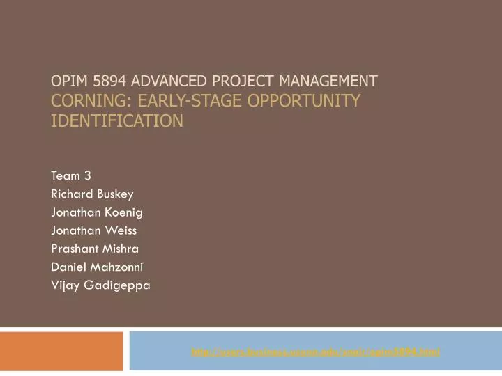 opim 5894 advanced project management corning early stage opportunity identification