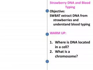 Objective: SWBAT extract DNA from strawberries and understand blood typing WARM UP : Where is DNA located in a cell? Wh