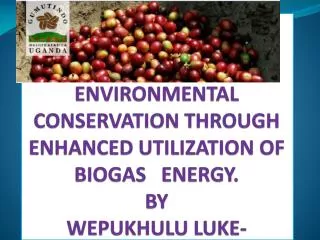 ENVIRONMENTAL CONSERVATION THROUGH ENHANCED UTILIZATION OF BIOGAS ENERGY. BY WEPUKHULU LUKE-