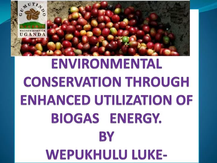 environmental conservation through enhanced utilization of biogas energy by wepukhulu luke