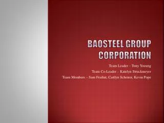 Baosteel Group Corporation