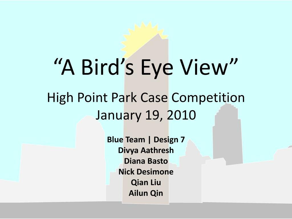 PPT - “A Bird’s Eye View” PowerPoint Presentation, free download - ID ...