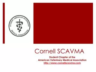 Cornell SCAVMA