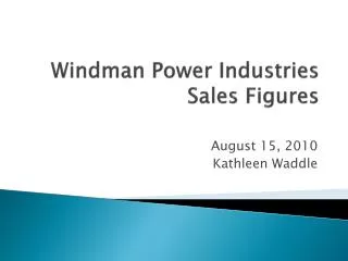 Windman Power Industries Sales Figures