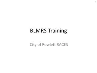 BLMRS Training