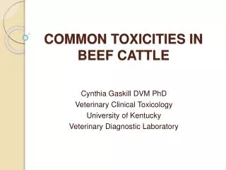 COMMON TOXICITIES IN BEEF CATTLE
