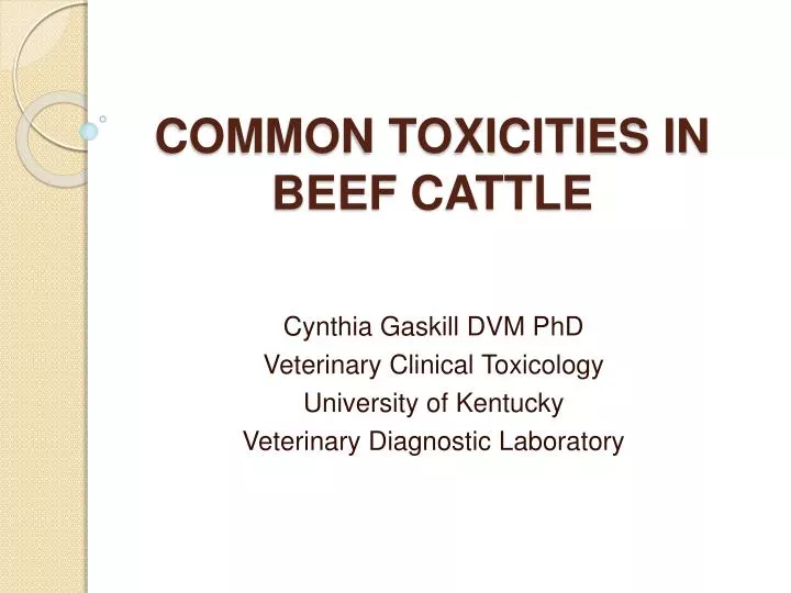 common toxicities in beef cattle