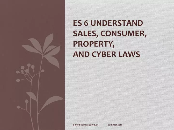 es 6 understand sales consumer property and cyber laws