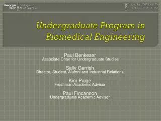 Undergraduate Program in Biomedical Engineering