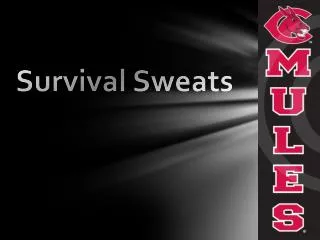 Survival Sweats