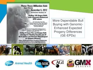 More Dependable Bull Buying with Genomic-Enhanced Expected Progeny Differences (GE-EPDs)