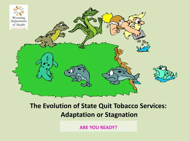 the evolution of state quit tobacco services adaptation or stagnation