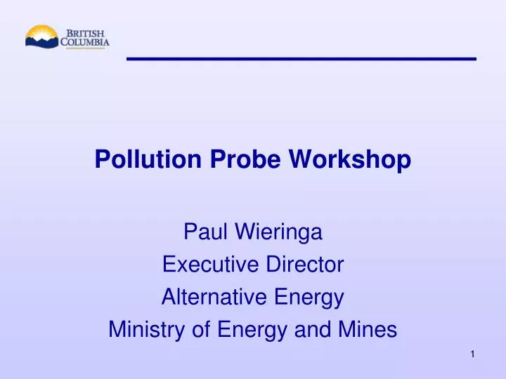 paul wieringa executive director alternative energy ministry of energy and mines