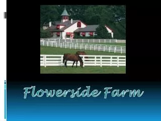 Flowerside Farm