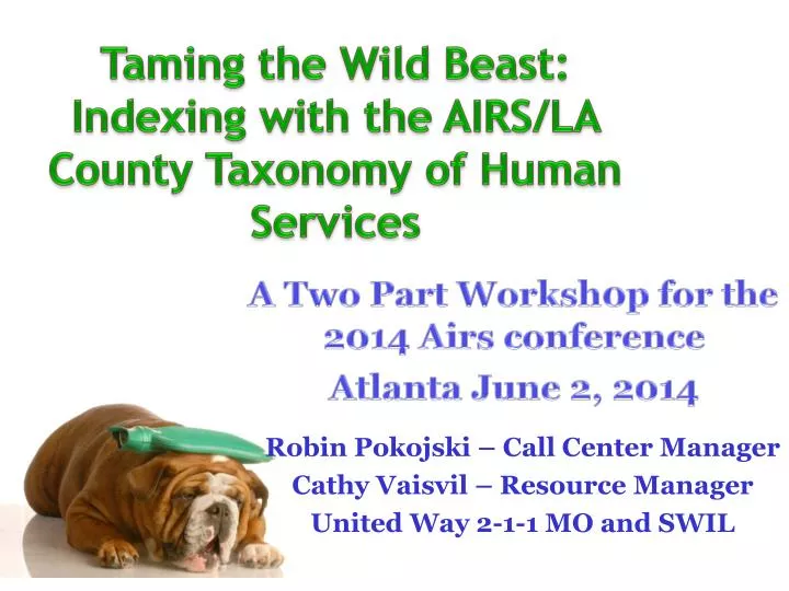taming the wild beast indexing with the airs la county taxonomy of human services