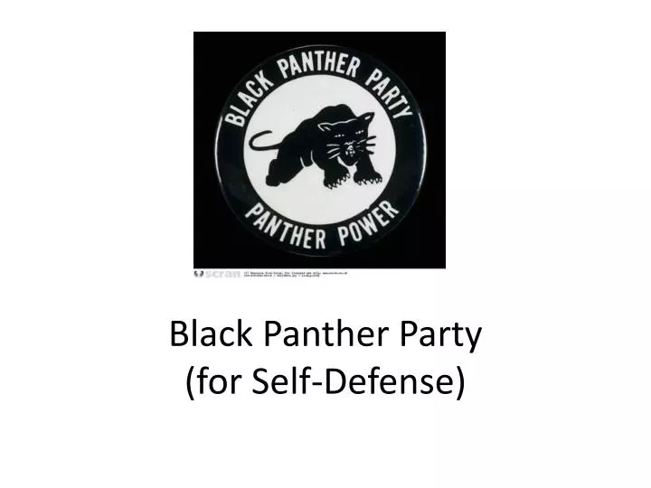 black panther party for self defense