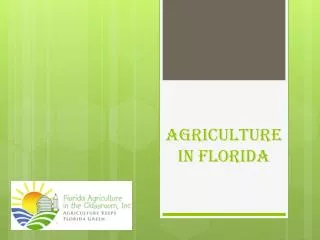 Agriculture In Florida