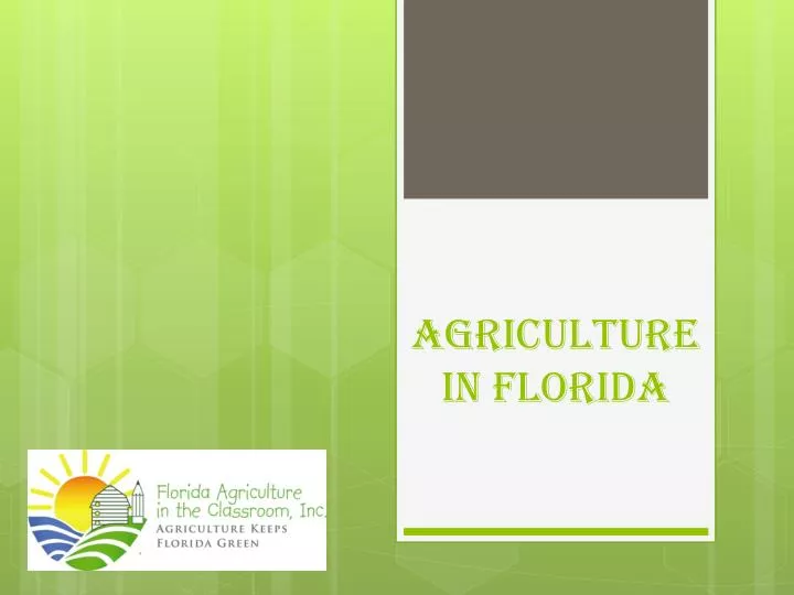 agriculture in florida