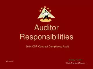 Auditor Responsibilities