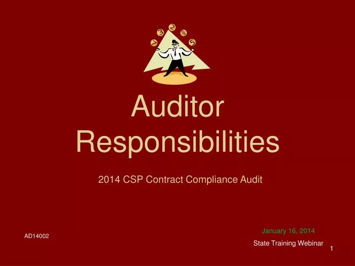 auditor responsibilities