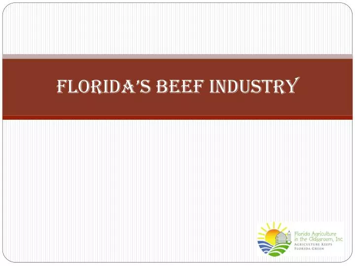 florida s beef industry