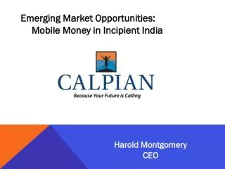 Emerging Market Opportunities: 	Mobile Money in Incipient India