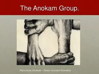 The A nokam Group.