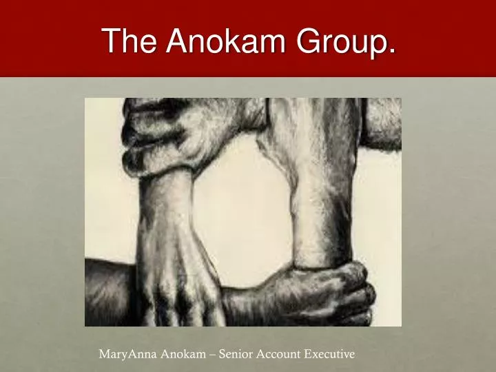 the a nokam group