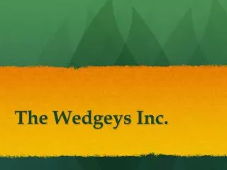 The Wedgeys Inc.
