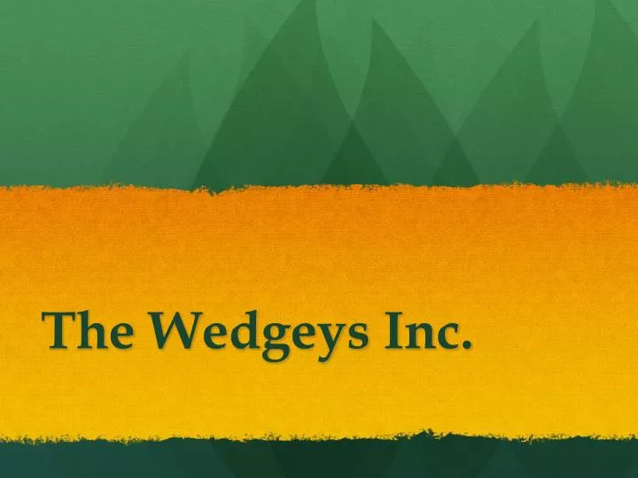 the wedgeys inc