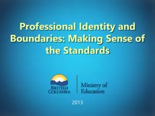 Professional Identity and Boundaries: Making Sense of the Standards