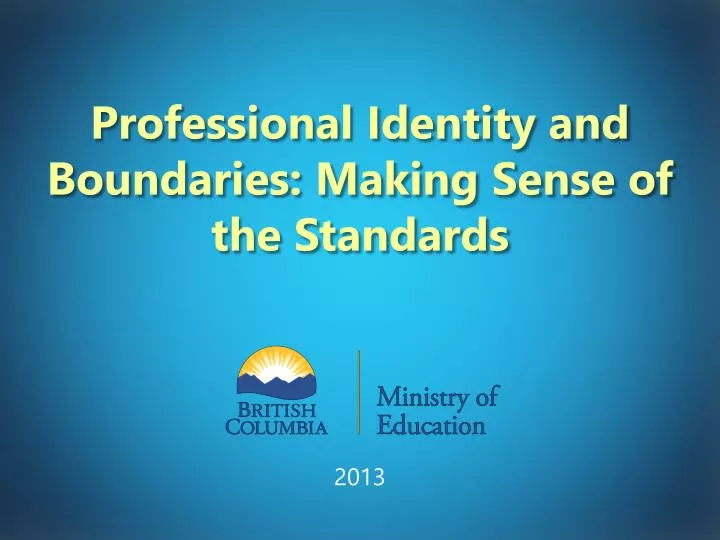 professional identity and boundaries making sense of the standards