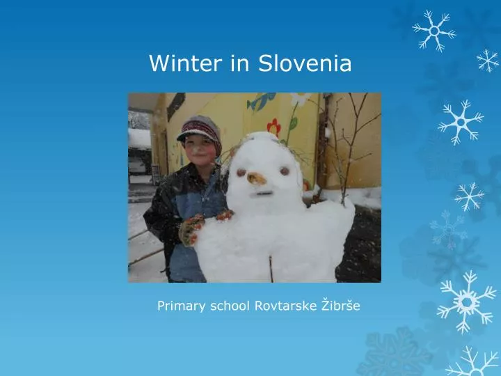 winter in slovenia