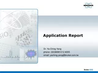 Application Report