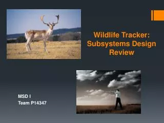 Wildlife Tracker: Subsystems Design Review