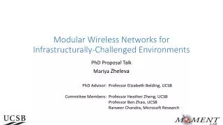Modular Wireless Networks for Infrastructurally -Challenged Environments