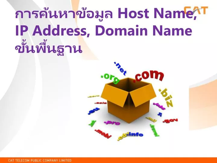 host name ip address domain name