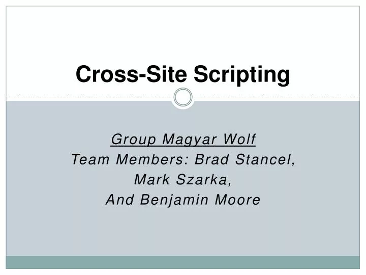 cross site scripting