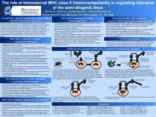 The role of fetomaternal MHC class II histoincompatibility in regulating tolerance of the semi-allogenic fetus