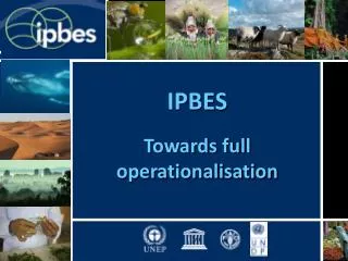 IPBES Towards full operationalisation