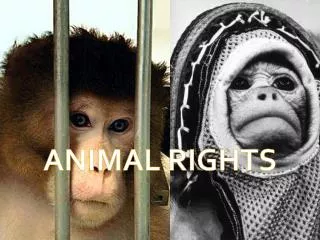 ANIMAL RIGHTS