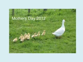 Mothers Day 2012