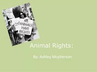 Animal Rights: